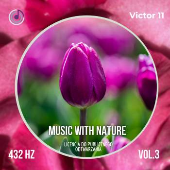Music With Nature 3 muzyka relaksacyjna 432 Hz